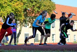 Nur der Schnellste gewinnt (Foto: MPZ Kamenz)